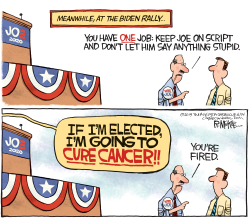 BIDEN TO CURE CANCER by Rick McKee