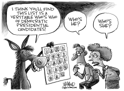 DEMOCRATIC WHO'S WHO by Dave Whamond