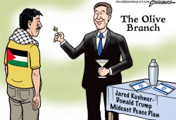 THE OLIVE BRANCH by Steve Greenberg