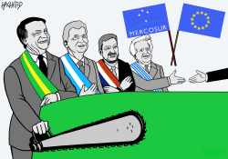 EU/MERCOSUR DEAL by Rainer Hachfeld