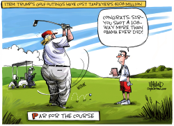PAR FOR THE COURSE by Dave Whamond