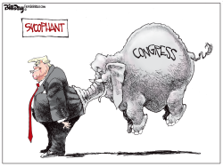 SYCOPHANT by Bill Day