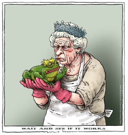 WAIT AND SEE IF IT WORKS by Joep Bertrams
