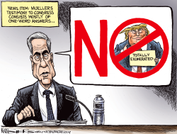 MUELLER BEFORE CONGRESS by Kevin Siers