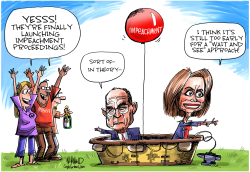 THE IMPEACHMENT LAUNCH by Dave Whamond