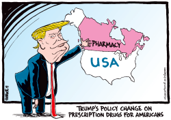 TRUMPS POLICY CHANGE ON DRUGS by Ingrid Rice