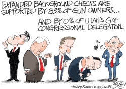 LOCAL BACKGROUND CHECKS by Pat Bagley