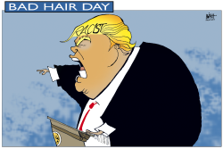 BAD HAIR DAY FOR TRUMP by Randy Bish
