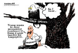 IMMIGRATION AND ENDANGERED SPECIES by Jimmy Margulies