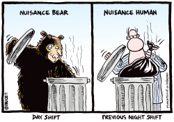 NUISANCE BEAR AND HUMAN PROBLEM by Ingrid Rice