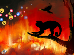 AMAZON FIRE by Osama Hajjaj