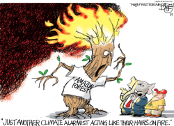 AMAZONIAN FIRES by Pat Bagley