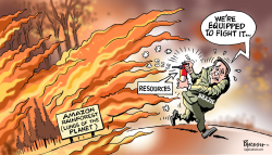 AMAZON FIRES by Paresh Nath