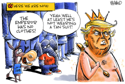 EMPEROR'S CLOTHES by Dave Whamond