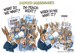 MIXED MESSAGES AT IMPEACHMENT RALLY by RJ Matson