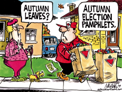 AUTUMN ELECTION by Steve Nease
