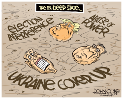 THE IN DEEP STATE by John Cole