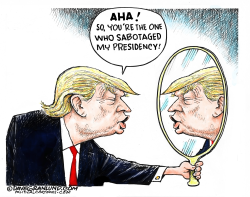 Sabotaging Trump presidency by Dave Granlund