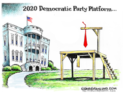 2020 DEMOCRATIC PARTY PLATFORM by Dave Granlund