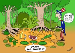 TRUMP IS THE SWAMP by Stephane Peray