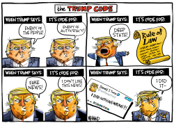 THE TRUMP CODE by Dave Whamond