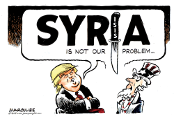 SYRIA IS NOT OUR PROBLEM by Jimmy Margulies