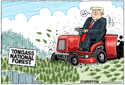 MOWING DOWN THE TONGASS by Wolverton