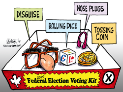ELECTION KIT by Steve Nease