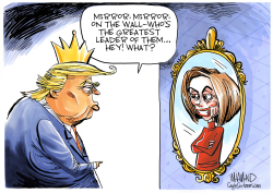 MIRROR MIRROR ON THE WALL by Dave Whamond