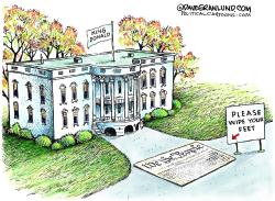 TRUMP AND US CONSTITUTION by Dave Granlund