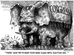 CONGRESS CLEANS UP by R.J. Matson