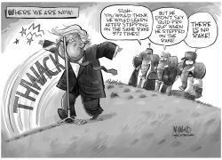 Trump VS the rake by Dave Whamond