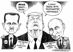 Trump and Special Ops raid by Dave Granlund