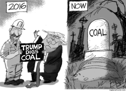 Trump Digs Coal by Pat Bagley