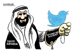 SAUDI ARABIA SPYING ON TWITTER by Jimmy Margulies