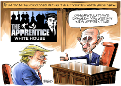THE APPRENTICE WHITE HOUSE by Dave Whamond