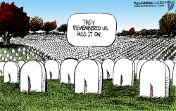 VETERANS' DAY by Bruce Plante