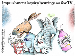 IMPEACHMENT HEARINGS ON TV by Dave Granlund