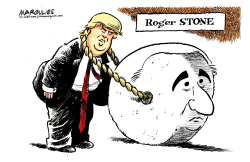 ROGER STONE GUILITY by Jimmy Margulies
