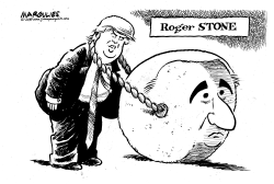 ROGER STONE GUILTY by Jimmy Margulies