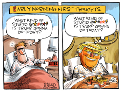 TRUMP FATIGUE SYNDROME by Dave Whamond