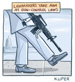 Gun Laws by Peter Kuper