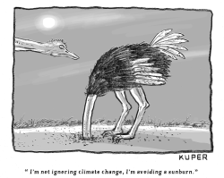 CLIMATE CHANGE OSTRICH by Peter Kuper