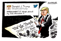 TRUMP AND DUE PROCESS by Jimmy Margulies