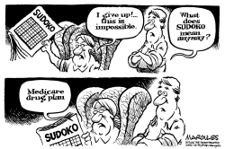 WHAT DOES SUDOKO MEAN ANYWAY by Jimmy Margulies