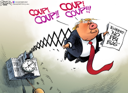 Trump Coup by Nate Beeler