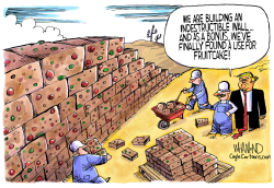 BUILD THE FRUITCAKE WALL by Dave Whamond