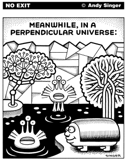 MEANWHILE IN A PERPENDICULAR UNIVERSE by Andy Singer