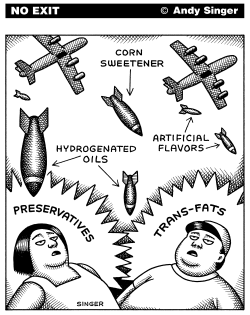 TRANSFAT AND CORN SWEETENER BOMBING by Andy Singer