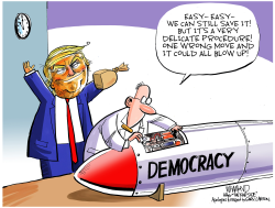 US DEMOCRACY AT STAKE by Dave Whamond